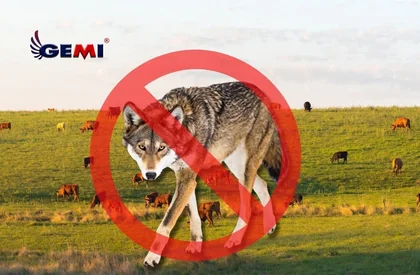 Cerca eléctrica para lobos: Cómo proteger a tu ganado de los ataques.