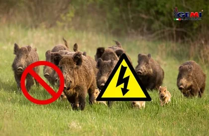 Ahuyentadores Eléctricos para Animales: Cómo proteger tu jardín.