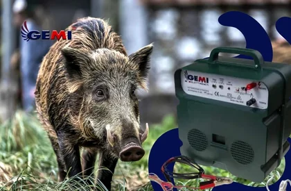 Disuasivos contra jabalíes: proteja su terreno con vallas eléctricas Gemi.