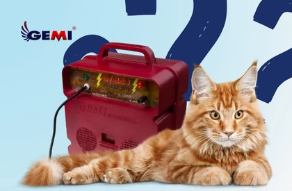 Repelentes para gatos: cómo proteger eficazmente jardines, huertos y propiedades.