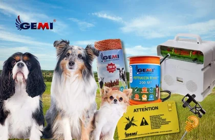 Guía y reseña de cercas eléctricas para perros: Energizador de cercas eléctricas Gemi E/220