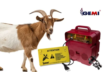 Cercado para cabras: la solución segura y eficaz es la cerca eléctrica Gemi