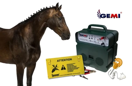Cercas de madera para caballos: ¿Por qué las cercas eléctricas son una opción más segura?