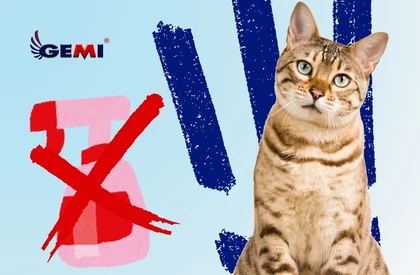 Repelentes para gatos: Por qué las vallas eléctricas son una solución eficaz y segura