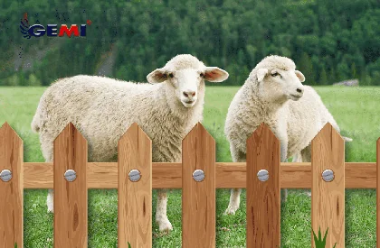 Sheep Net: ¿es realmente la mejor solución?